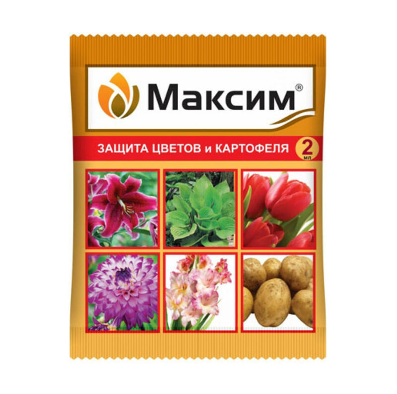 Максим ВХ (амп 2 мл) ТОНЭКС — изображение 1